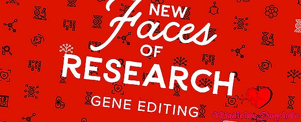 Nye ansikter av forskning: Gene redigering
