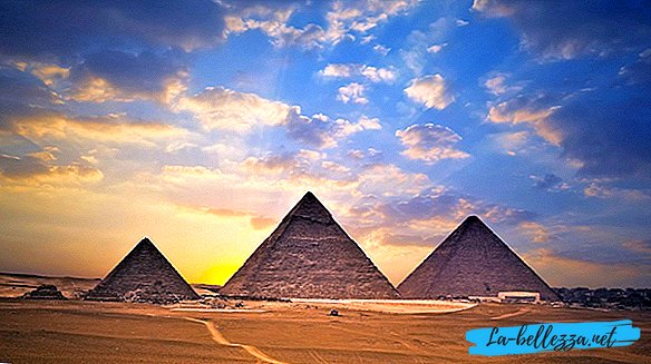 نوبات مصرية