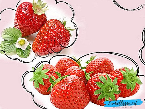 Quels rêves de fraises