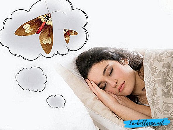 What dreams moth