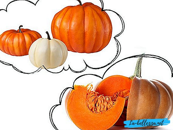 Why dream of a pumpkin?