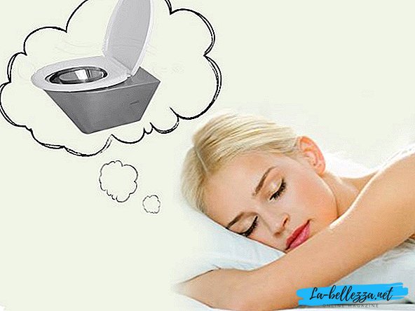 What is the toilet dreaming about?