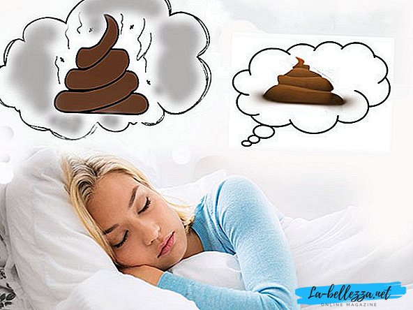 What do feces dream about?