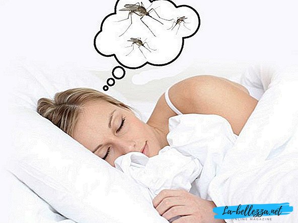 What do mosquitoes dream about