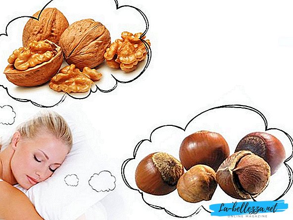 What dream nuts