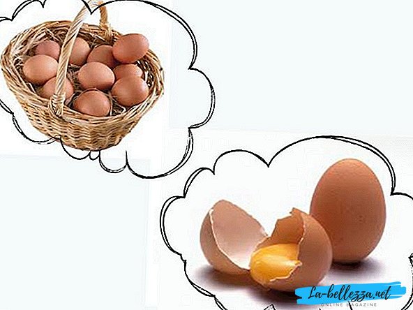 Que sonhos de ovos de galinha