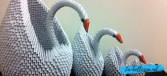 How to make paper swan: phased