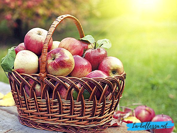 Le più forti preghiere, cerimonie e cospirazioni sul Salvatore di mele