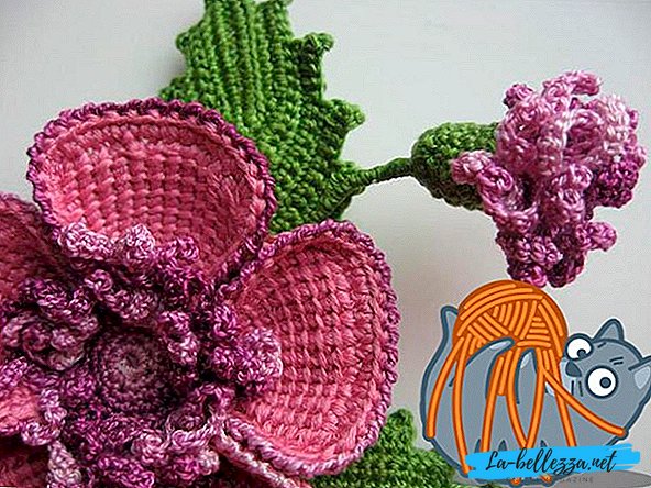 Häkelblumen mit einer Beschreibung des Schemas - wie man eine Blume bindet