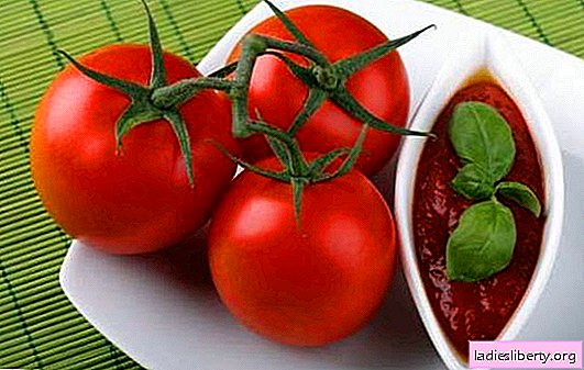 Cuisson sauce piquante №1 - tomate légère pour l'hiver. Les recettes les plus célèbres de tomates pour l'hiver
