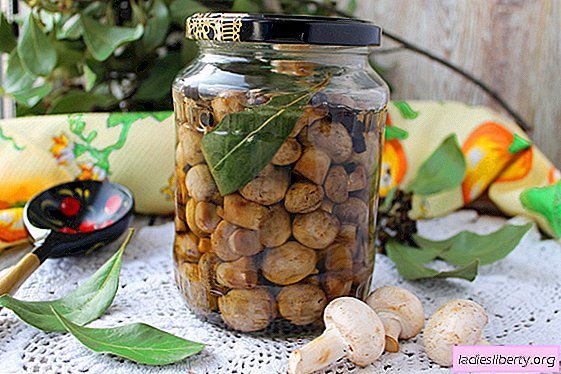 Homemade Pickled Mushrooms in 1 Day