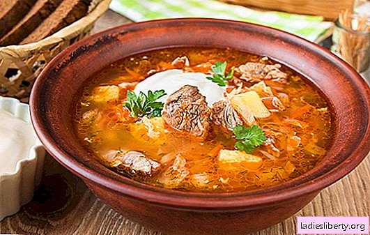 Sopa de repolho fresco - 10 melhores receitas. Sopa de repolho fresco com carne, frango, carne de porco, carne fumada, feijão