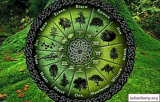 What will it be for you on April 13: a unique horoscope of druids and a "danger index" for all zodiac signs