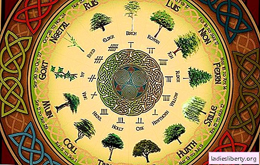 What will it be for you on April 16: a unique horoscope of druids and a "danger index" for all zodiac signs