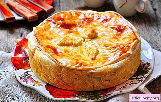 Kurnik with chicken and potatoes from shortcrust pastry: 6 recipes. How to quickly cook a chicken meat and potato shortcrust pastry