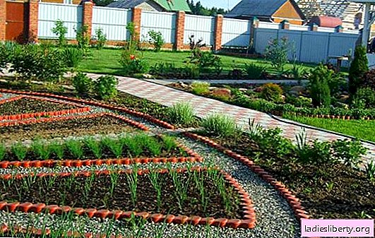 6 acres: área mínima - beneficio máximo. Qué y dónde plantar en un área pequeña: las reglas de rotación del jardín y los principios de la formación del jardín.