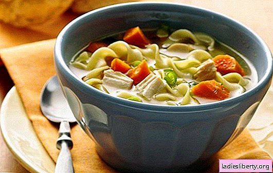 Des soupes simples pour tous les jours - 7 meilleures recettes. Comment faire cuire une simple soupe pour tous les jours: champignons, poulet, poisson, etc.