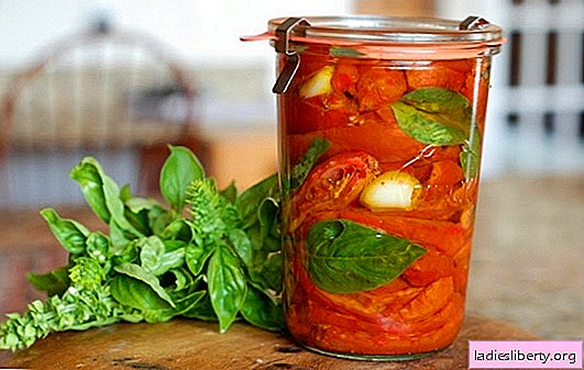 Tomatoes with vinegar for the winter: 8 of the best proven recipes. How to make a harvesting of tomatoes with vinegar for the winter