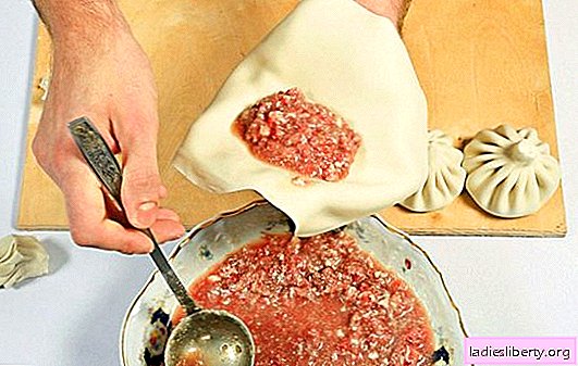 Buona pasta khinkali - 99% di successo! Ricette classiche, alla crema e insolite per l'impasto elastico per khinkali in acqua e latte