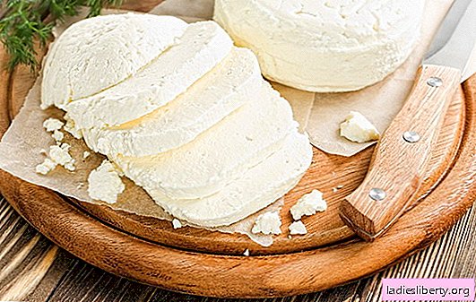 Le fromage Adyghe à la maison: délicieux sous n'importe quel nom! Recettes de fromage fait maison Adyghe