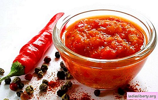 Adjika tanpa tomat untuk musim dingin - saus yang luar biasa bagi para pencari sensasi! Apa cara terbaik untuk memasak adjika tanpa tomat untuk musim dingin?