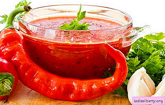 Adjika de tomates et d'ail pour l'hiver: un sujet brûlant de préparations maison. 7 meilleures recettes adjika à base de tomates et d'ail pour l'hiver