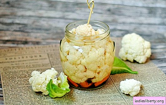 Mouth-watering appetizers of instant pickled cauliflower. Cauliflower - fast!