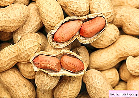 Peanuts - description, properties, use in cooking. Recipes with peanuts.