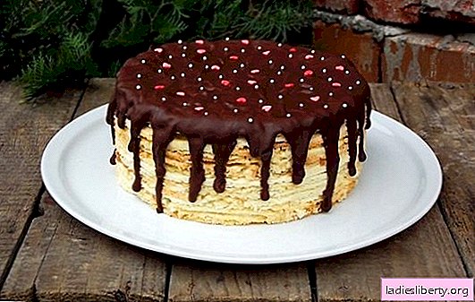 Armenian cakes - recipes of famous sweets. Walnut, chocolate, honey options and Armenian cakes "Mikado"