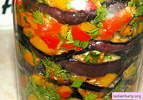 Eggplant for the winter - the best recipes. How to properly and tasty prepare eggplants for the winter.
