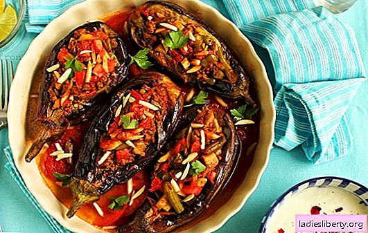 Turkse aubergine met gehakt - een favoriet van de Turkse keuken! Recepten, subtiliteiten en geheimen van het koken van sappige en ongelooflijk heerlijke aubergine in het Turks met gehakt
