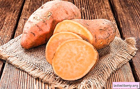 البطاطا الحلوة - فوائد ومزايا تذوق البطاطا الحلوة. من يجب أن يدرجها في النظام الغذائي وما الضرر الذي يمكن أن تسببه البطاطا الحلوة
