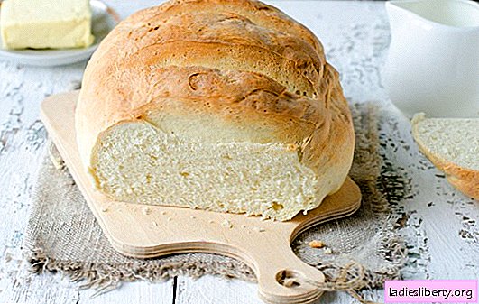오븐에서 흰 빵-맛있는 수제 케이크. 물, 우유, 요구르트에 오븐에서 흰 빵을 만들기위한 최고의 요리법