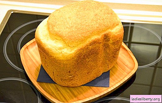 White bread in a bread maker - classic and with different additives. White bread with raisins, honey, carrots, garlic - recipes for bread makers