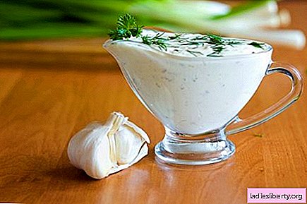 Salsa blanca: las mejores recetas. Cómo preparar adecuadamente y deliciosamente una salsa blanca.