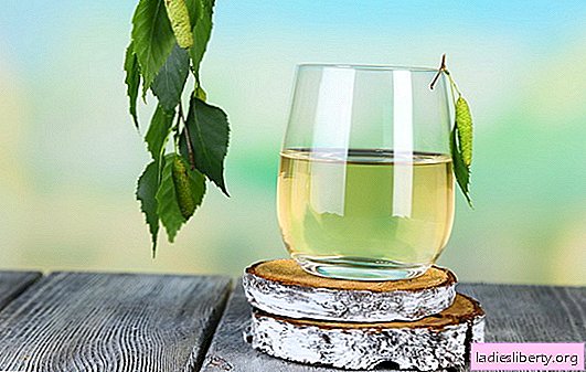 Brezov sok za korist za tijelo zove se eliksir zdravlja. Uporaba brezovog soka: je li štetna ili korisna?