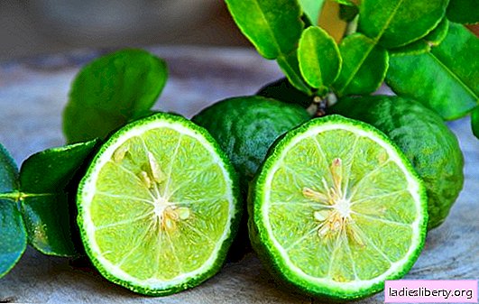 Bergamota: propiedades útiles y principales contraindicaciones. Por qué deberías usar bergamota, beneficios y propiedades medicinales