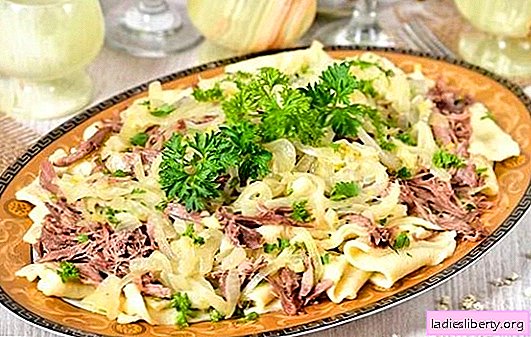 Beshbarmak de carne - viva a cozinha turca! Receitas Beshbarmak de carne saudável com legumes e especiarias
