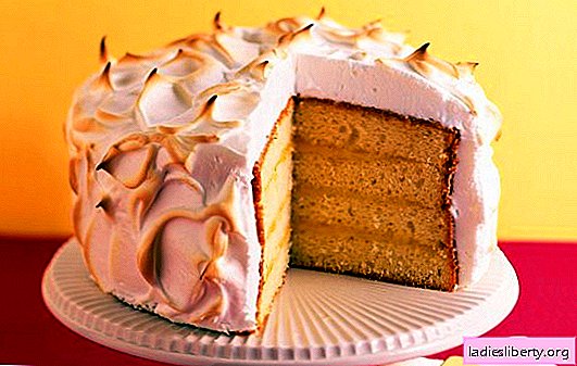 Gâteau éponge à la crème sure - un chef-d'œuvre! Recettes gâteaux biscuits à la crème sure: fruits, noix, etc.