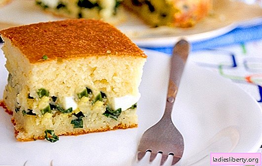 Un pastel rápido con cebollas y huevos, ¡sin problemas! Recetas para un pastel rápido con cebolla y huevos: aspic, abierto, en pan de pita y panqueques