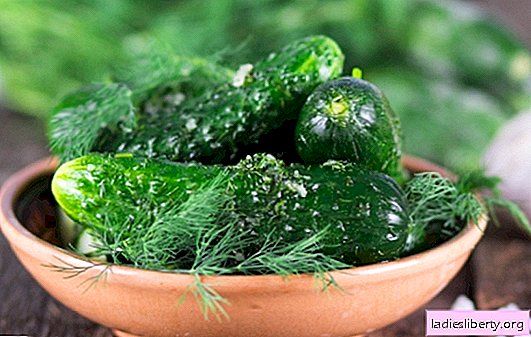 A quick recipe for lightly salted cucumbers: be ready by evening! The best recipes for fast salted cucumbers with crunch