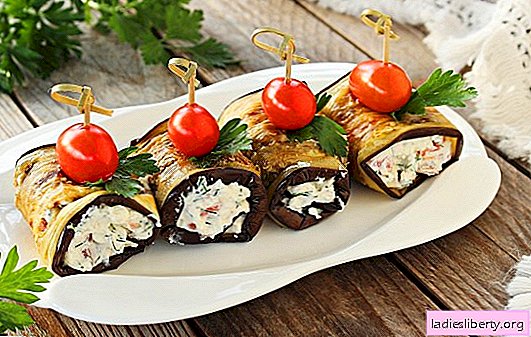 Eggplant dishes with garlic and mayonnaise - tasteful. Vegetable cakes, rolls: light eggplant dishes with garlic and mayonnaise