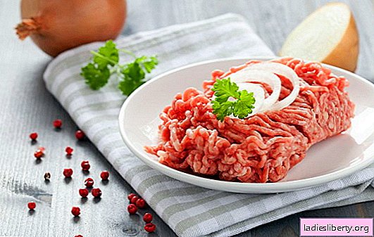 Pratos de carne picada - a receita para o produto semiacabado direito. Pratos caseiros de carne picada: receitas de comida deliciosa