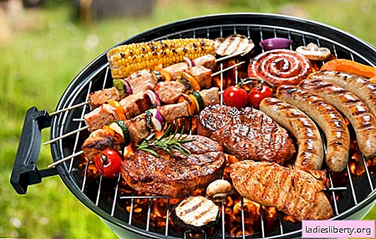 Grilled dishes: their benefits and harms. What dishes are the most harmful grill, how to cook on the grill with health benefits