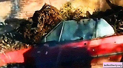 Briton revenged his wife by filling her car with manure (video!)