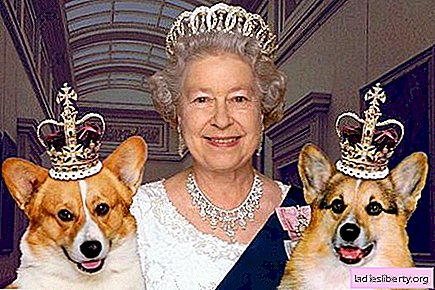 The British Queen lost her beloved pet