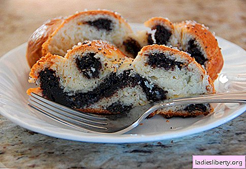 Poppy buns are the best recipes. How to properly and tasty cook buns with poppy seeds at home