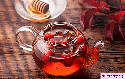 Rosehip tea: an ancient remedy for a hundred diseases. What is known to science about the dangers of rosehip tea
