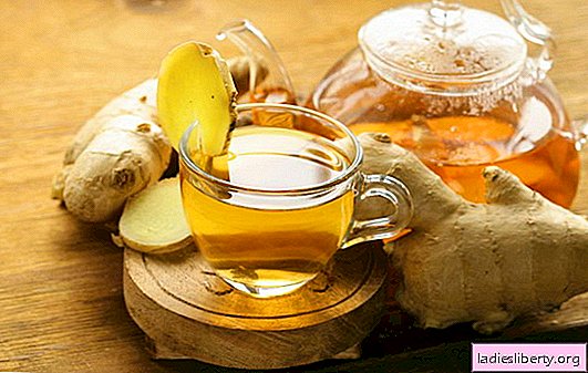 Är ingefära te gynnsamt eller ohälsosamt? Fördelar och skador på ingefära te för barn, gravida och som går ner i vikt