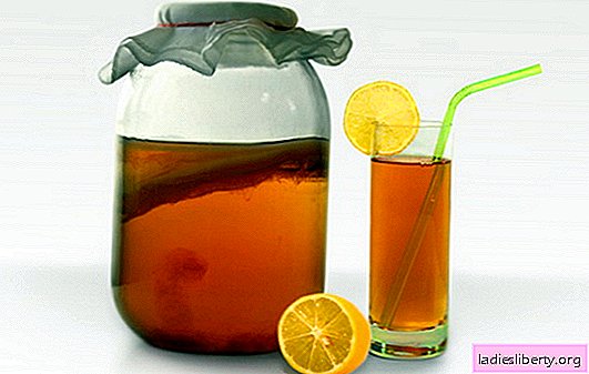 Kombucha: useful or harmful to the body? Can I enjoy a drink from Kombucha without harm to health?